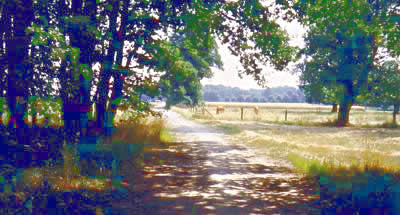 Sommer in der Altmark