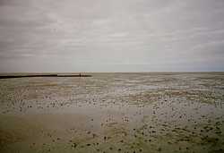 Nordsee bei Ebbe